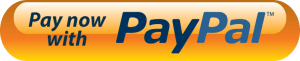 PayPal-PayNow-Button-300x61